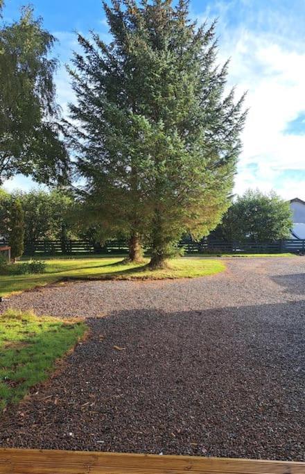 Little Slioch Cottage- A Break From City Life Avoch Eksteriør bilde